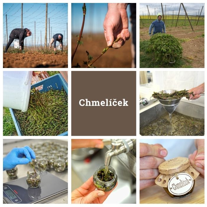 Chmelíček - Chuť Moravy - výroba